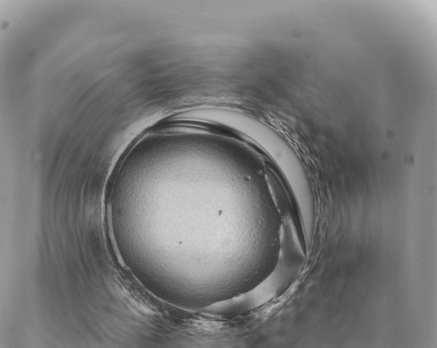 X0000088590148200706011146