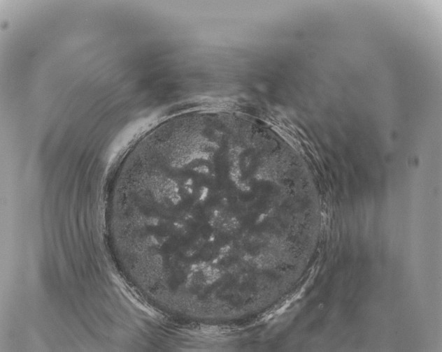 X0000088590149200706011146