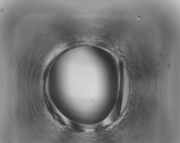 X0000088590150200706011146