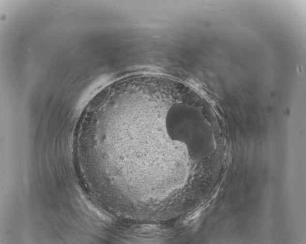 X0000088590151200706011146