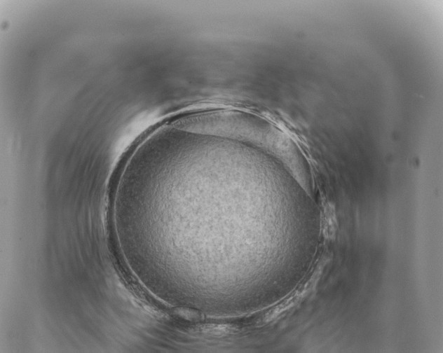 X0000088590152200706011146