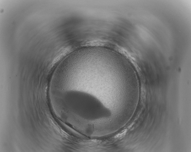 X0000088590153200706011146