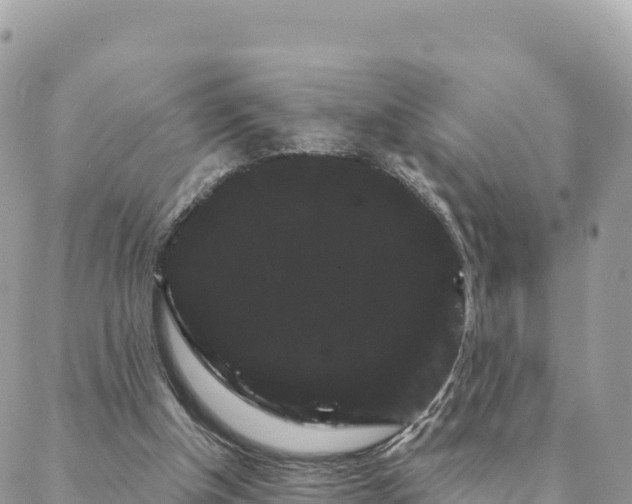 X0000088590154200706011146