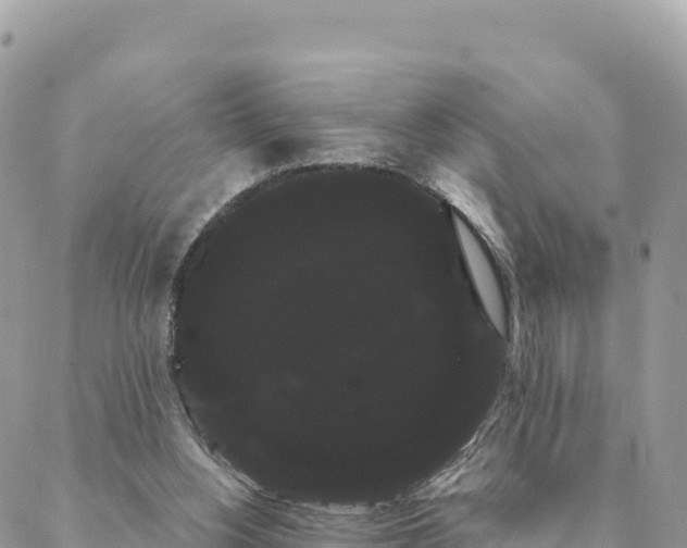 X0000088590156200706011146