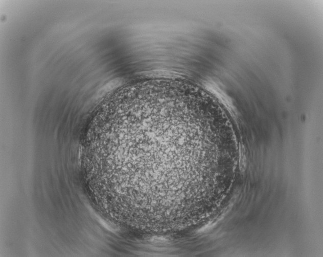 X0000088590157200706011146