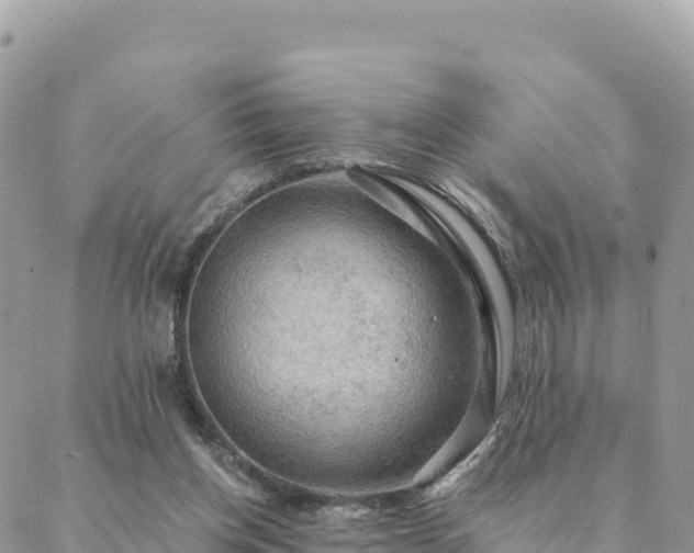 X0000088590158200706011146