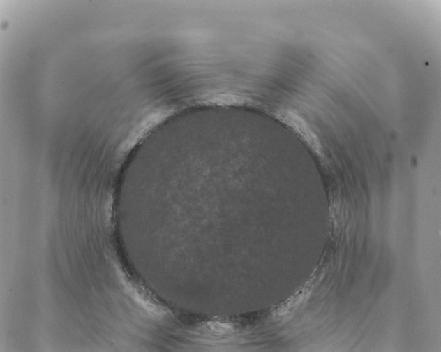 X0000088590159200706011146