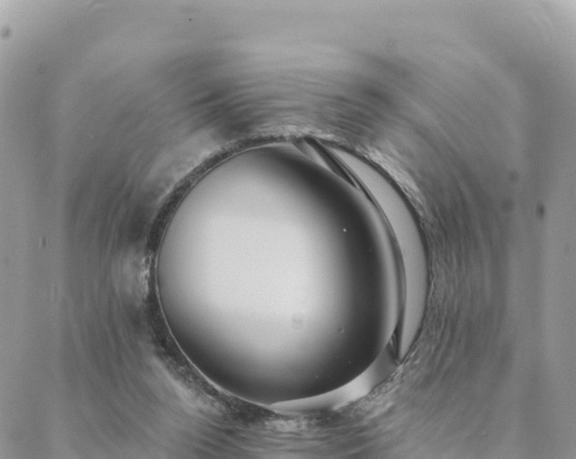 X0000088590160200706011146