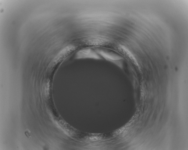 X0000088590163200706011146