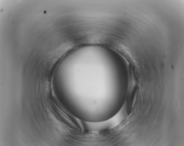 X0000088590164200706011146