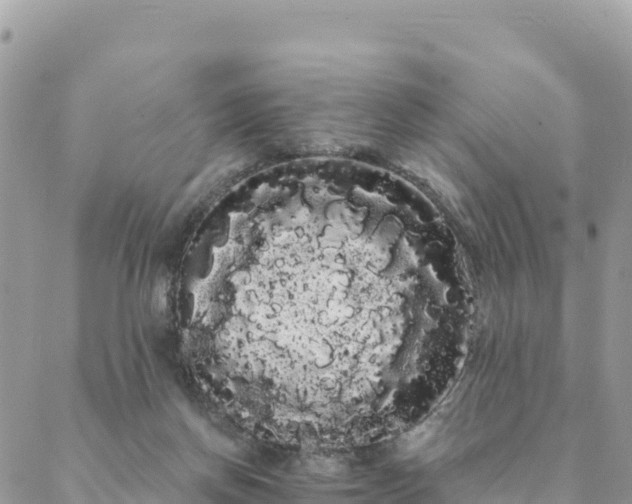 X0000088590166200706011146