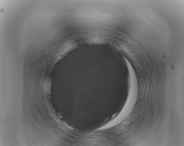 X0000088590168200706011146