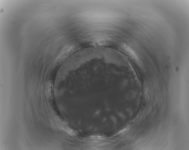 X0000088590169200706011146