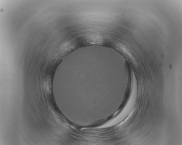 X0000088590170200706011146