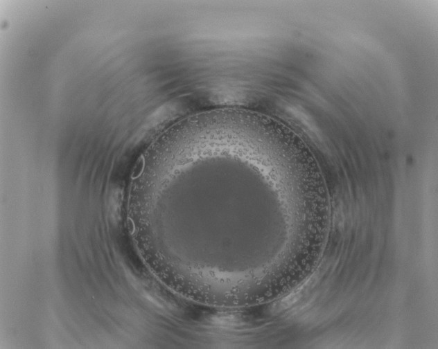 X0000088590171200706011146