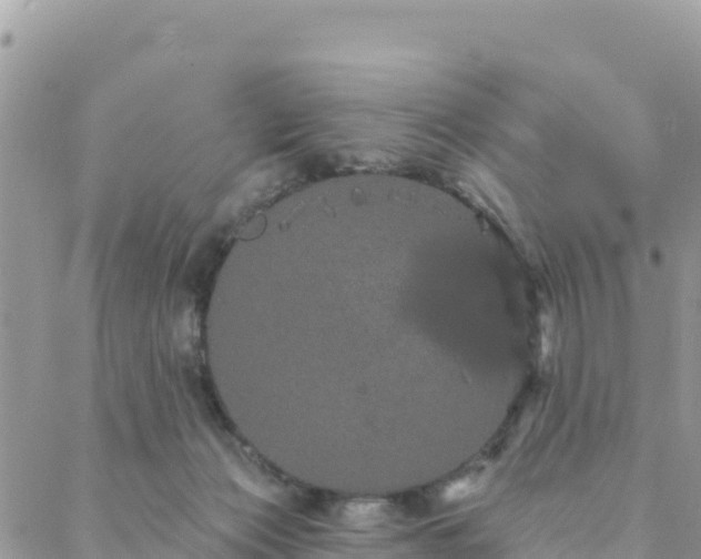 X0000088590173200706011147