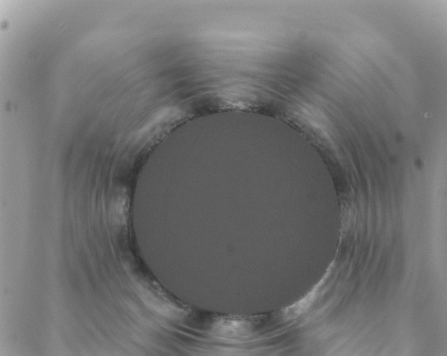 X0000088590174200706011147