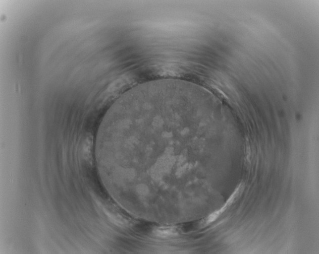 X0000088590175200706011147