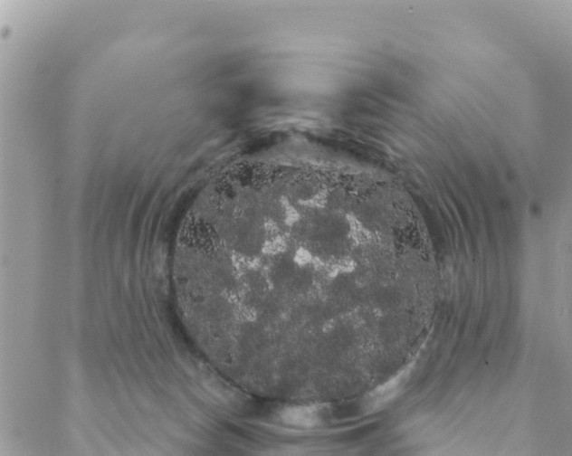 X0000088590178200706011147