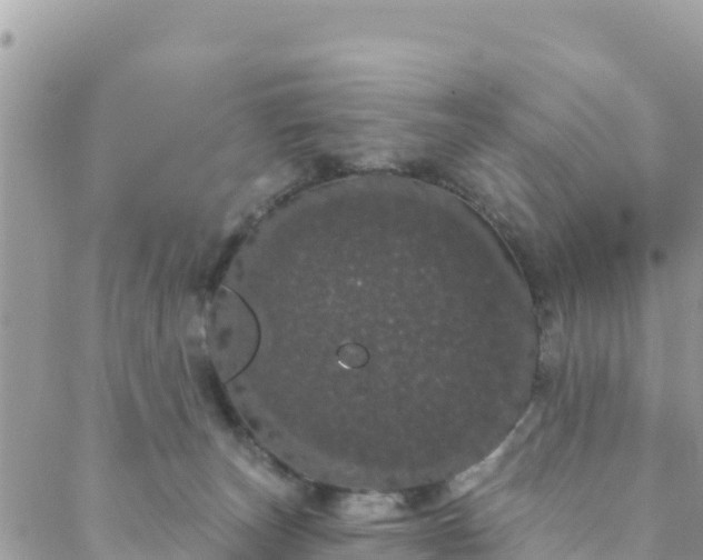 X0000088590179200706011147