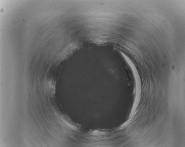 X0000088590180200706011147