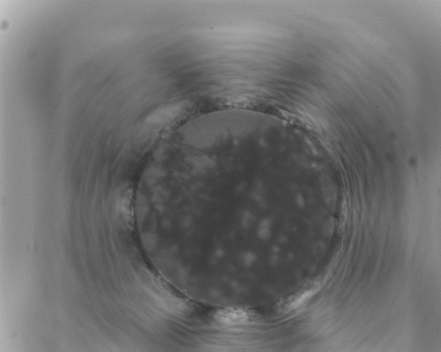 X0000088590181200706011147