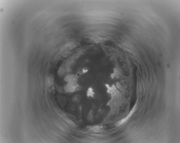 X0000088590182200706011147