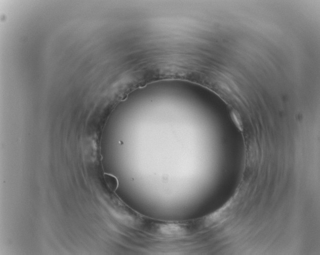 X0000088590183200706011147