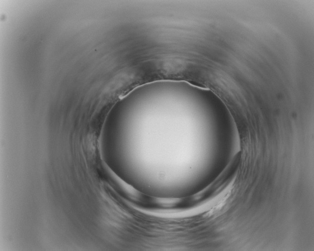 X0000088590184200706011147