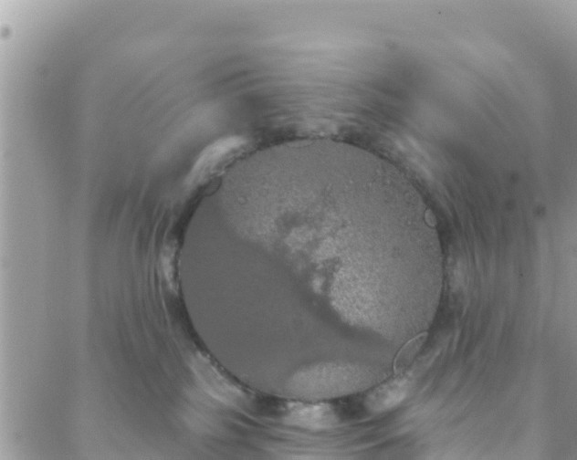 X0000088590185200706011147