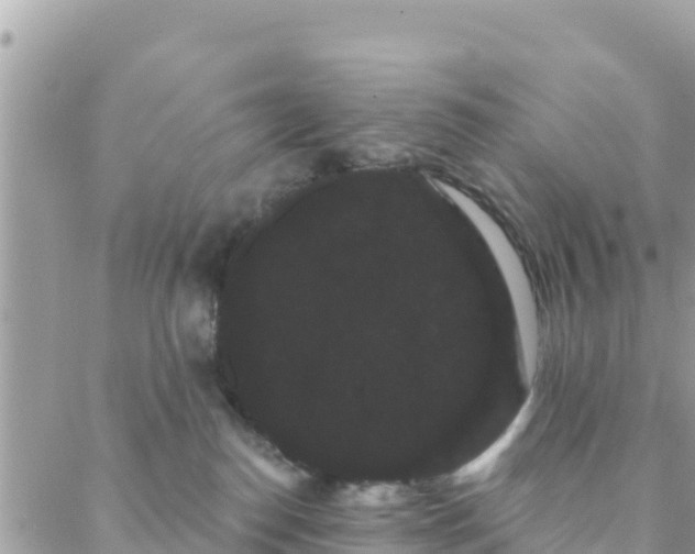 X0000088590186200706011147