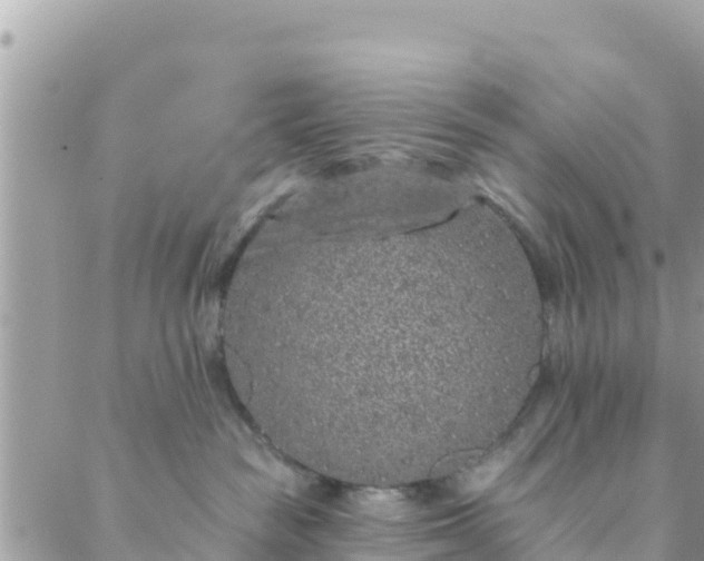 X0000088590189200706011147