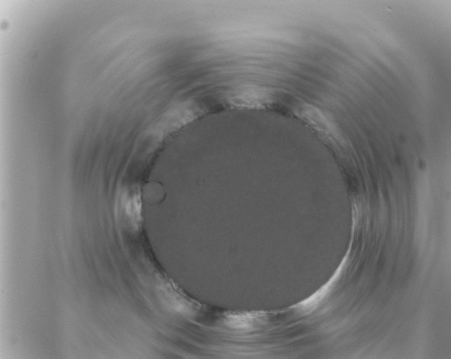 X0000088590190200706011147