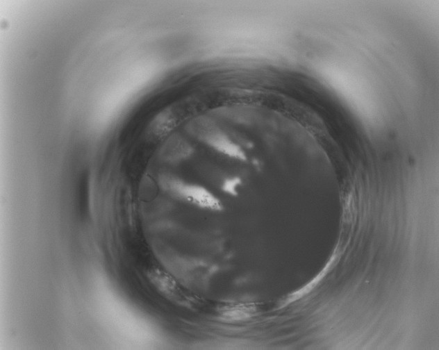 X0000088590191200706011147