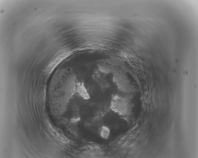 X0000088590194200706011146