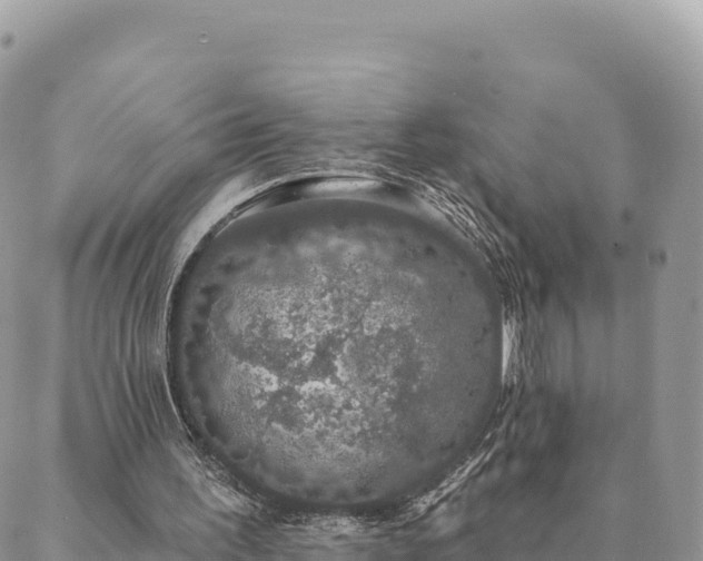 X0000088590195200706011146