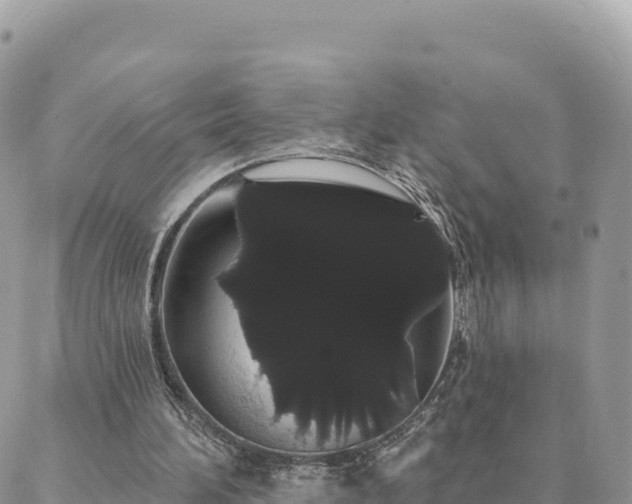 X0000088590196200706011146