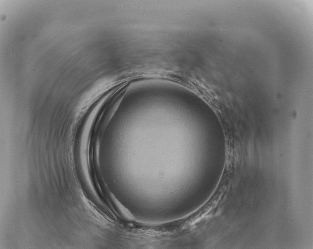 X0000088590197200706011146