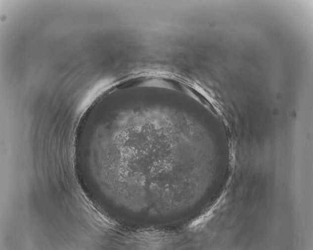 X0000088590199200706011146