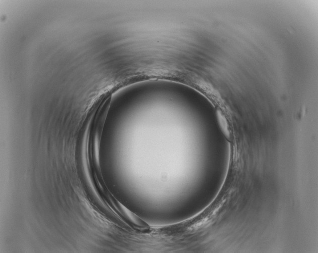 X0000088590201200706011146