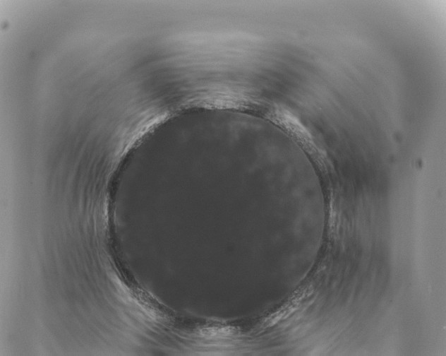 X0000088590202200706011146