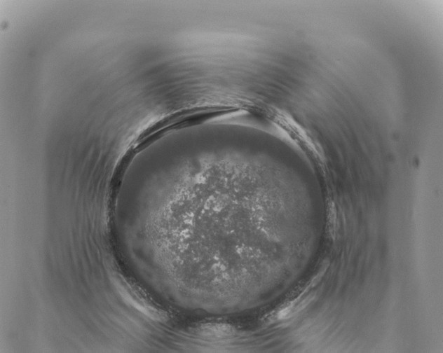 X0000088590203200706011146