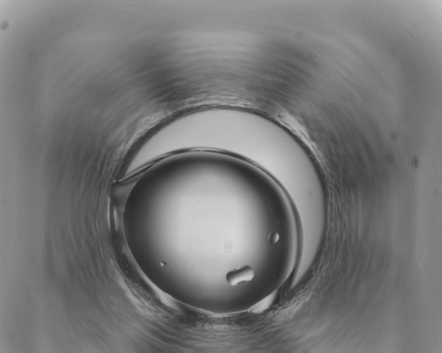 X0000088590205200706011146