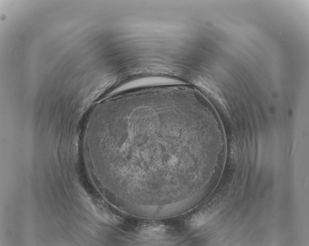 X0000088590206200706011146