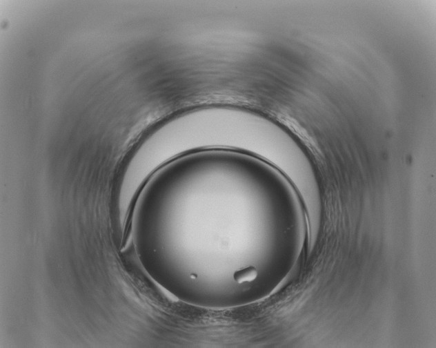 X0000088590207200706011146