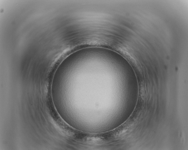 X0000088590208200706011146