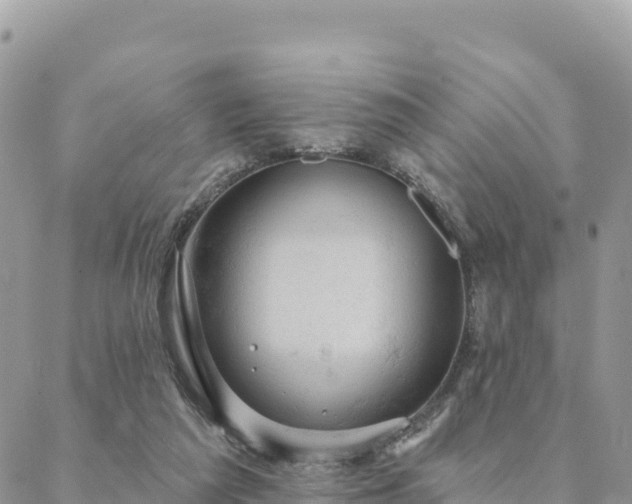 X0000088590209200706011146