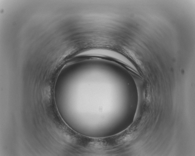 X0000088590211200706011146