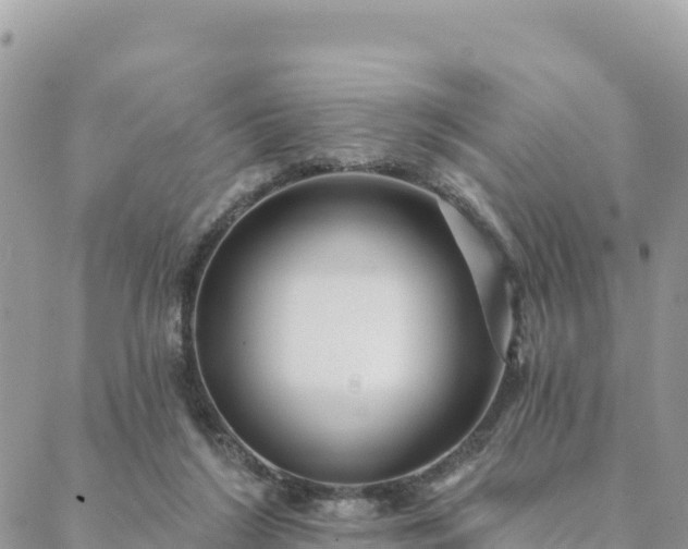 X0000088590212200706011146