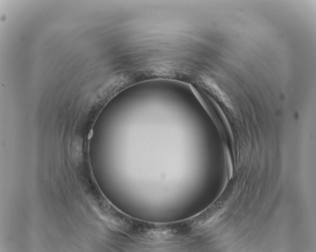 X0000088590213200706011146